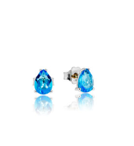 Niagara earrings - 12570